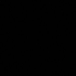 Meet your Posher, Allen